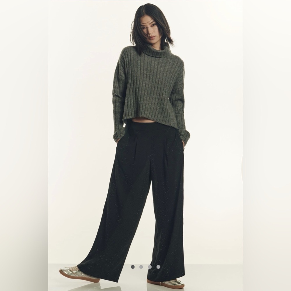 Ranna Gill Crystal Wide-Leg Pants, NWT